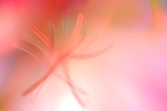 untitled_hdr2b