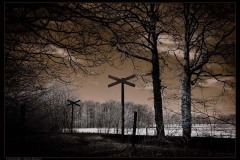 The Crossing